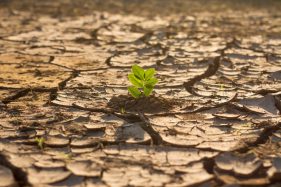 Managing climate risk: Insights from global legal trends and government initiatives