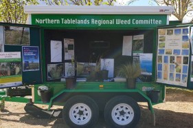 Minister suspends New England County Council weed management board