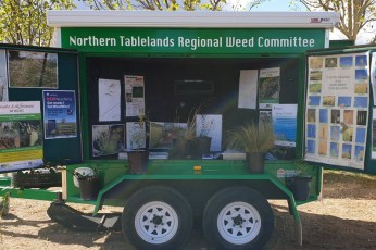 Minister suspends New England County Council weed management board