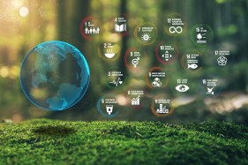 ‘Invisible’ consultants help companies write sustainability reports